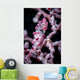 Bargibant's Pygmy Seahorse Bohol Head Wall Decal