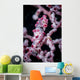 Bargibant's Pygmy Seahorse Bohol Head Wall Decal