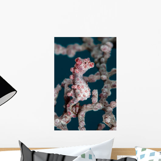 Bargibant's Pygmy Seahorse Bohol Wall Decal
