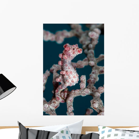 Bargibant's Pygmy Seahorse Bohol Wall Decal