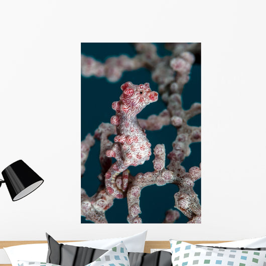 Bargibant's Pygmy Seahorse Bohol Wall Decal