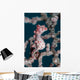 Bargibant's Pygmy Seahorse Bohol Wall Decal