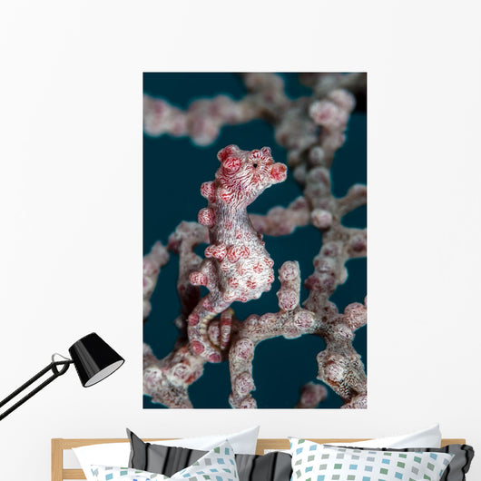 Bargibant's Pygmy Seahorse Bohol Wall Decal