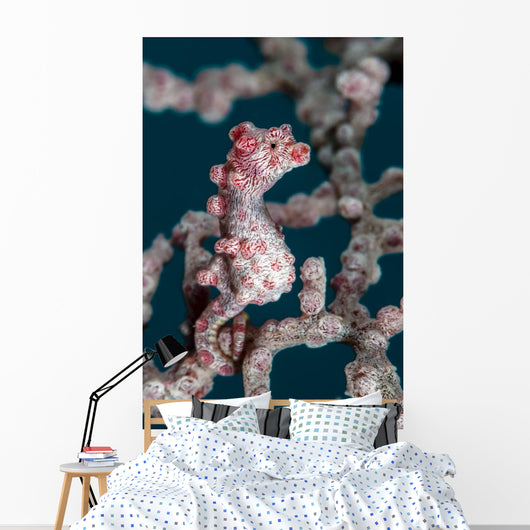 Bargibant's Pygmy Seahorse Bohol Wall Decal