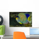 Regal Angelfish Bohol Sea Wall Decal