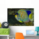 Regal Angelfish Bohol Sea Wall Decal