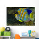 Regal Angelfish Bohol Sea Wall Decal