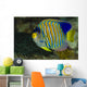 Regal Angelfish Bohol Sea Wall Decal