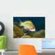 Female Scalefin Anthias Fish Wall Decal