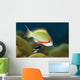 Female Scalefin Anthias Fish Wall Decal