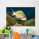 Female Scalefin Anthias Fish Wall Decal