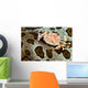Crab Top Sea Cucumber Wall Decal
