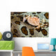 Crab Top Sea Cucumber Wall Decal