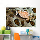 Crab Top Sea Cucumber Wall Decal