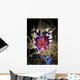 Desirable Flabellina Nudibranch Milne Wall Decal
