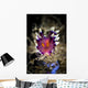Desirable Flabellina Nudibranch Milne Wall Decal