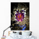 Desirable Flabellina Nudibranch Milne Wall Decal