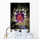 Desirable Flabellina Nudibranch Milne Wall Decal