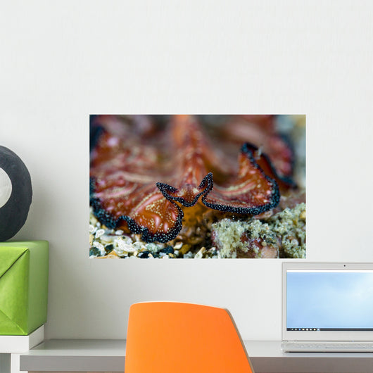 Headshot Persian Carpet Flatworm Wall Decal