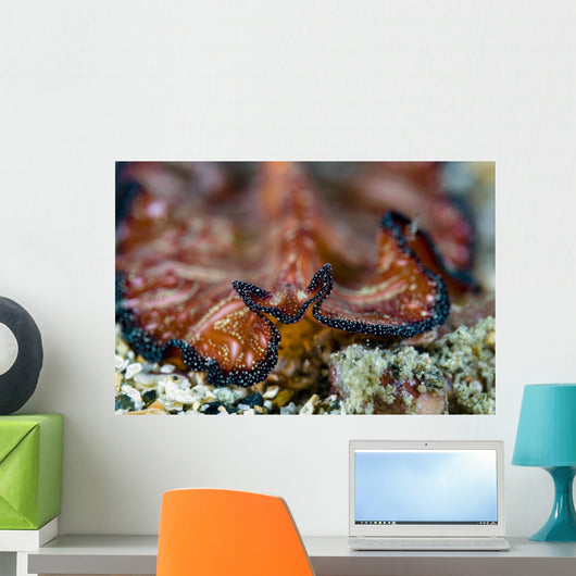 Headshot Persian Carpet Flatworm Wall Decal