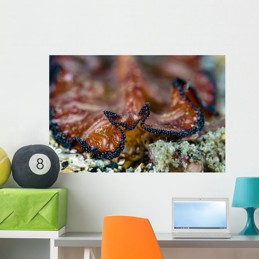 Headshot Persian Carpet Flatworm Wall Decal