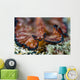Headshot Persian Carpet Flatworm Wall Decal