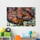 Headshot Persian Carpet Flatworm Wall Decal