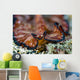 Headshot Persian Carpet Flatworm Wall Decal