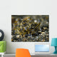 Black-lined Sapsucking Slug Milne Wall Decal