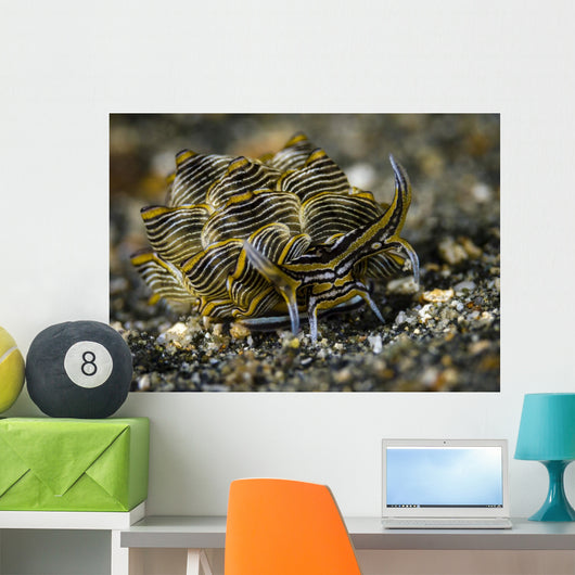 Black-lined Sapsucking Slug Milne Wall Decal