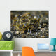 Black-lined Sapsucking Slug Milne Wall Decal