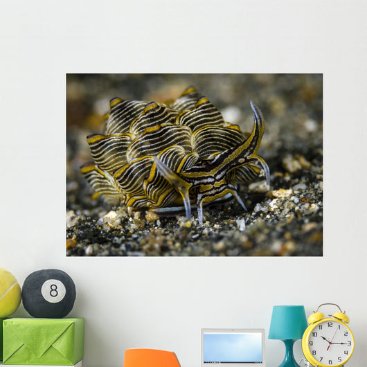 Black-lined Sapsucking Slug Milne Wall Decal