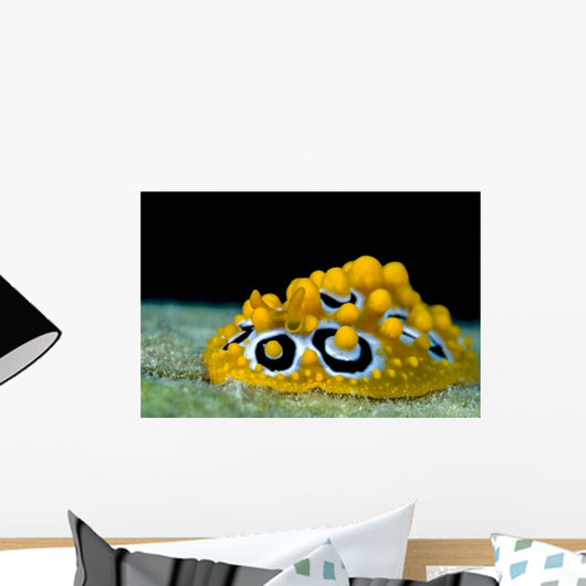 Ocellated Phyllidia Nudibranch Milne Close-up Wall Decal