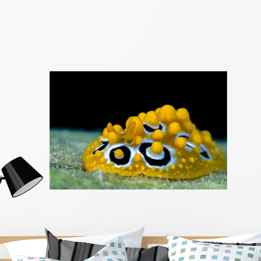 Ocellated Phyllidia Nudibranch Milne Close-up Wall Decal