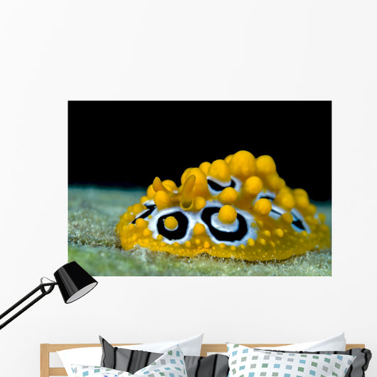 Ocellated Phyllidia Nudibranch Milne Close-up Wall Decal