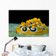 Ocellated Phyllidia Nudibranch Milne Close-up Wall Decal