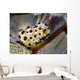 Undescribed Doto Nudibranch Milne Close-up Wall Decal