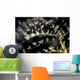 Undescribed Doto Nudibranch Milne Wall Decal