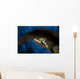 Spotted Porcelain Crab Blue Wall Decal