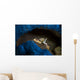 Spotted Porcelain Crab Blue Wall Decal