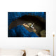 Spotted Porcelain Crab Blue Wall Decal