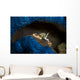 Spotted Porcelain Crab Blue Wall Decal