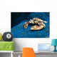 Spotted Porcelain Crab Blue Close-up Wall Decal