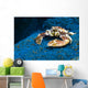 Spotted Porcelain Crab Blue Close-up Wall Decal