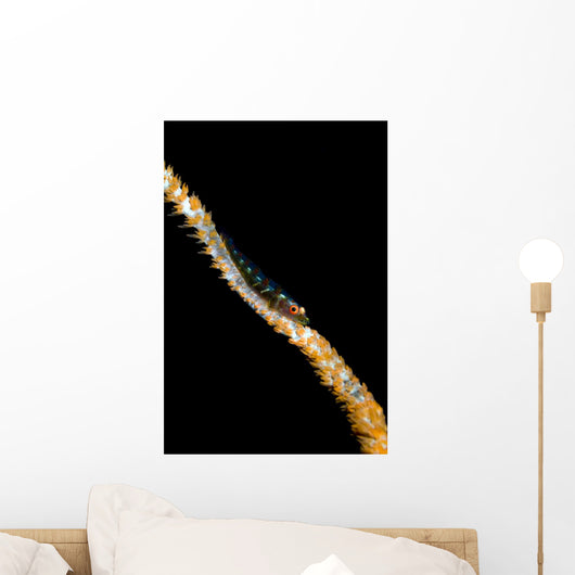 Large Whip Goby Milne Wall Decal