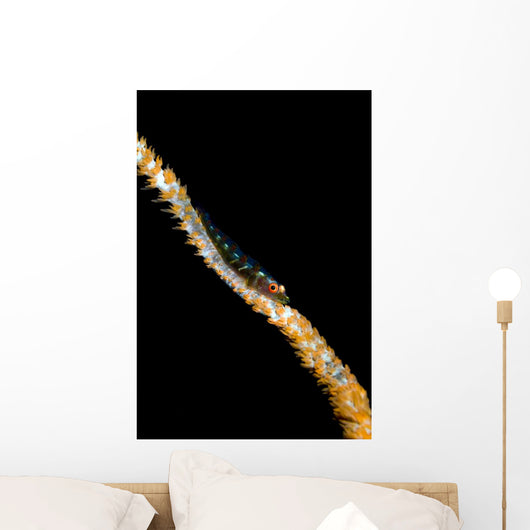 Large Whip Goby Milne Wall Decal