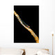 Large Whip Goby Milne Wall Decal