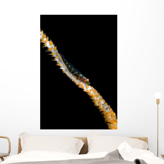 Large Whip Goby Milne Wall Decal