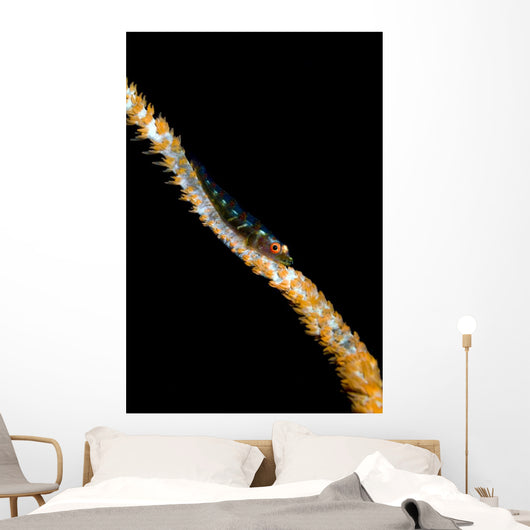 Large Whip Goby Milne Wall Decal