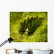 Costasiella Sapsucking Slug Milne Wall Decal